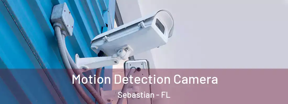 Motion Detection Camera Sebastian - FL